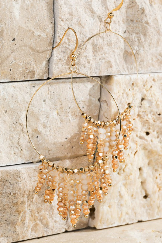 Beaded Tassel And Ring Earrings